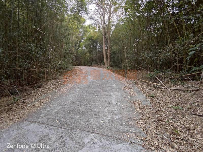 石岡龍興段路邊2002坪大地坪雙地號可分售