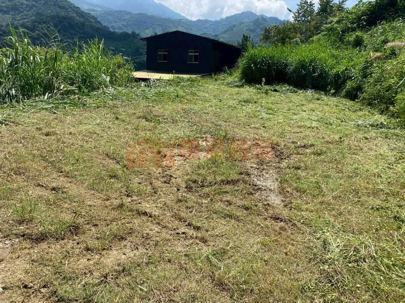 和平大面積894坪