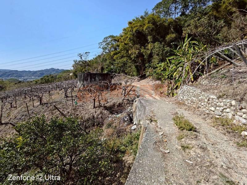 苗52線旁三義卓蘭方向投資型大面積土地