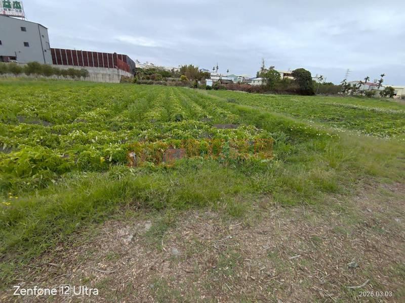 豐原國豐路旁小田