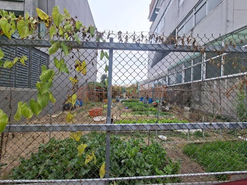 豐原水源路別墅土地