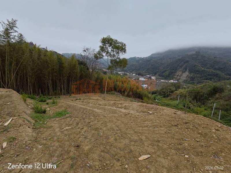 東勢近市區大面積土地